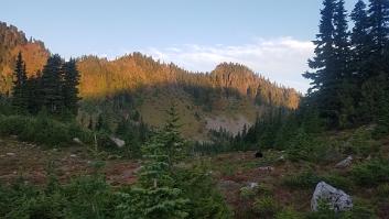 20201004_074042