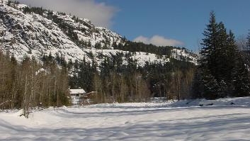 DSC00008