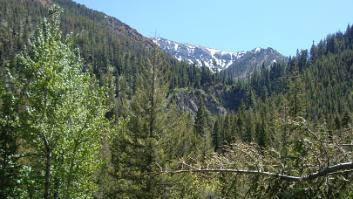 DSC00131