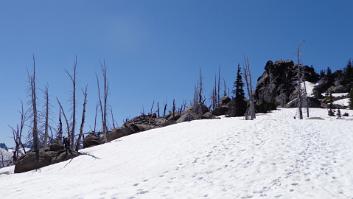 DSC06003