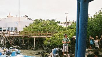 0006_cphen01-R7-011-4